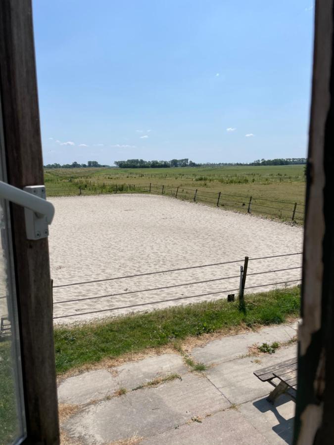 The Horse Farm Bed and Breakfast Garnwerd Eksteriør billede